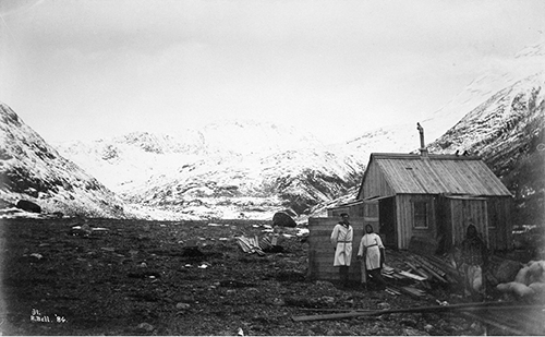 Skyner's Cove